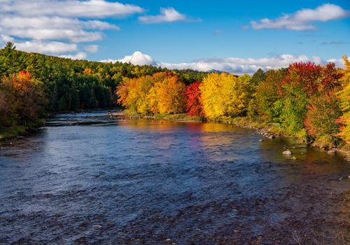 Saranac river flows through multi-colored fall landscape in Adirondacks NY