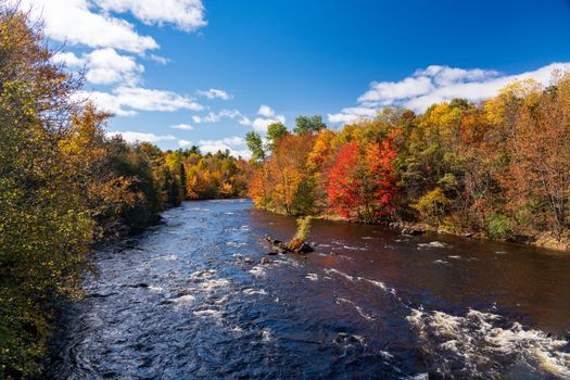 Saranac river flows through multi-colored fall landscape in Adirondacks NY
