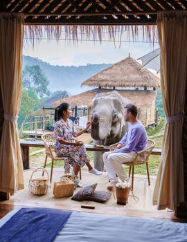 Couple visiting a Elephant sanctuary in Chiang Mai Thailand, Elephant farm in the mountains jungle