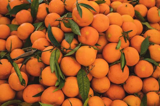 Fresh Oranges fruits at farmer market. Top view