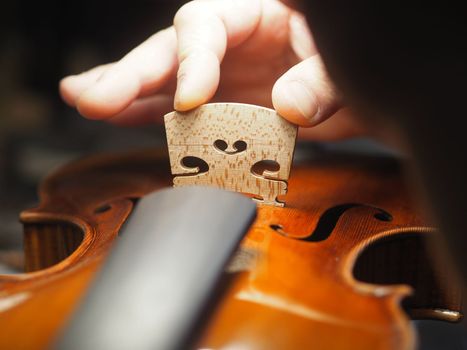 luthier positioning a bridge to a violin with precision