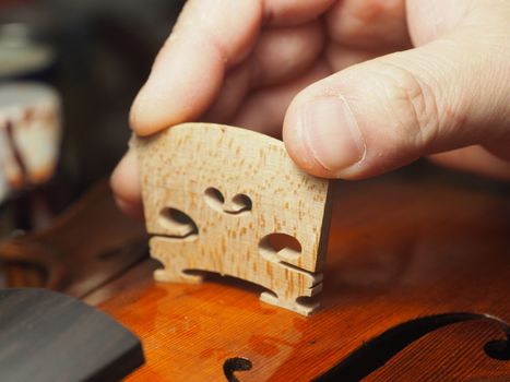 luthier positioning a bridge to a violin with precision