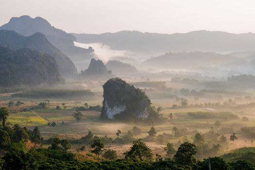 Sunrise with fog mist at Phu Langka in Northern Thailand, Mountain View of Phu Langka National Park
