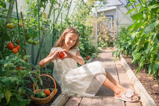 Adorable girl harvesting vegetables in greenhouse. Portrait of kid with basket full of vegetables