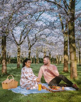 Couple picnic in the park during Spring in Amsterdam Netherlands, blooming cherry blossom tree 