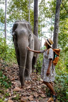 Asian women visiting a Elephant sanctuary in Chiang Mai Thailand, girl with elephant in the jungle