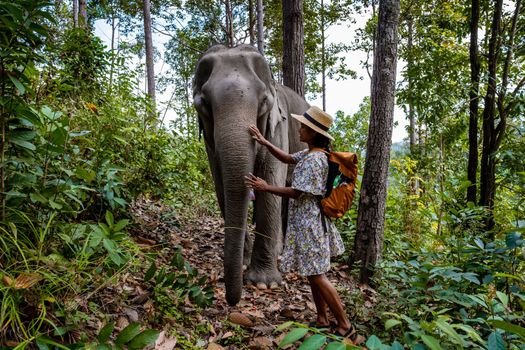 Asian women visiting a Elephant sanctuary in Chiang Mai Thailand, girl with elephant in the jungle