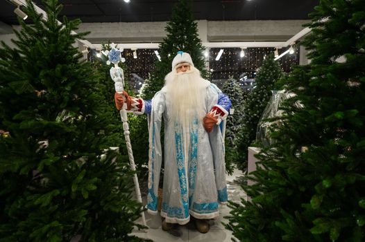 Portrait of a Russian Santa Claus in an artificial Christmas tree shop.