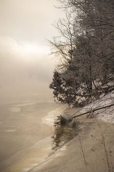 the river bank in the fog