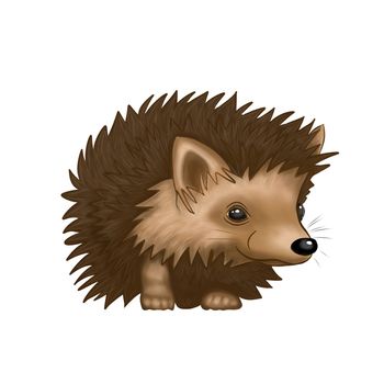 Illustration of a hedgehog on an isolated background. Clip art animals.