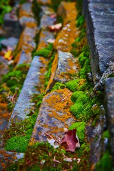 Small stones in detail covered in moss and orange lichen
