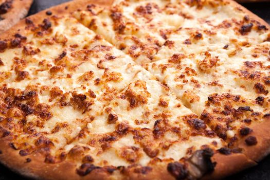 Close up view of pizza with cheese only