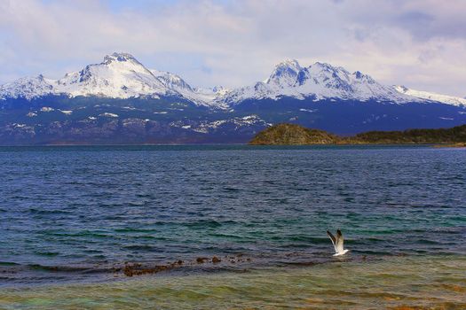 Beagle Channel in Tierra Del Fuego, Ushuaia, Argentina