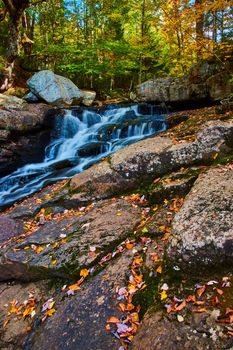 Forest with cascading river waterfalls small along rocky edge covered in fall leaves