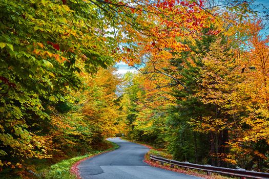 Stunning Vermont road winding through beautiful peak fall forests of orange