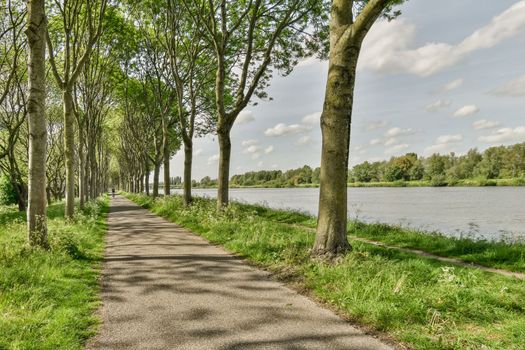 a path next to a river with trees