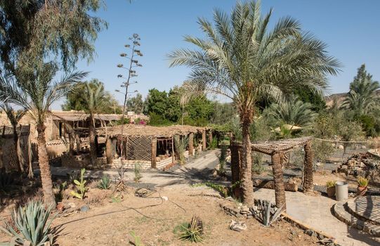 Eco Lodge resort in egyptian village with outdoor area