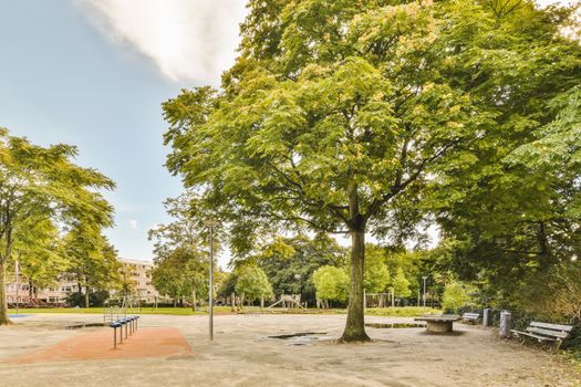 a park with benches and a tree