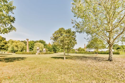 a park with trees, grass and some leaves on the ground in the background is a blue sky above it
