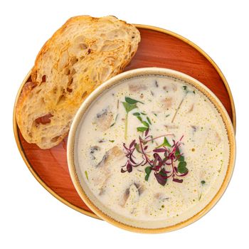 Bowl of gourmet mushroom cream soup