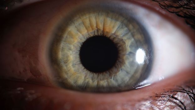 Person eye with beautiful green grey shades macro