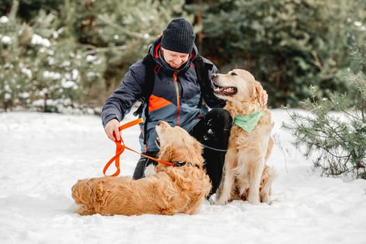 Guy owner petting golden retriever dogs in winter time in snow. Man with doggy pets in forest in cold weather