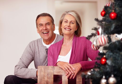 Cheerful mature couple sitting near a Christmas tree at home. Portrait of a cheerful mature couple sitting near a Christmas tree at home.