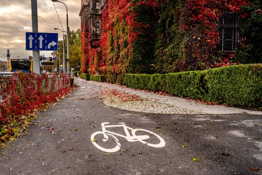 Road for bicycle in autumn