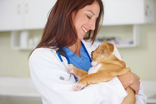 Each tiny patient will steal your heart. A young female vet holding an adorable puppy.