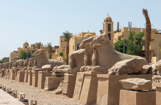 Large statue of ram headed sphinx at Karnak temple in Egypt