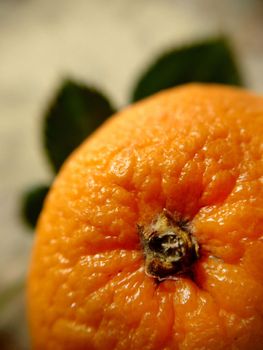 Top view of an orange with green leaves background texture