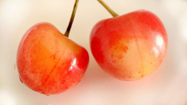 Two yellow-red cherries on a light background close-up