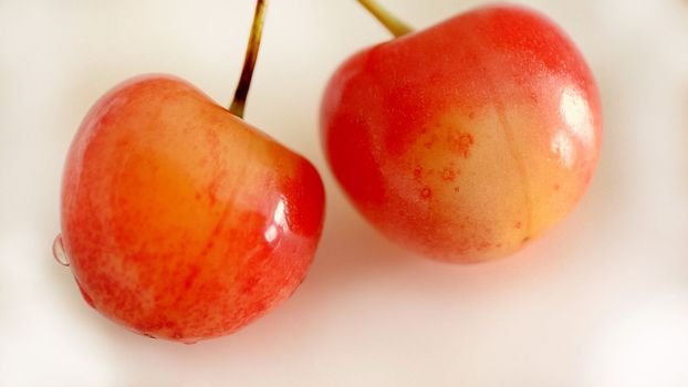 Two ripe cherries close-up on a light background