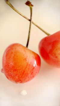 Close-up of ripe cherries selectively stand out against a light background