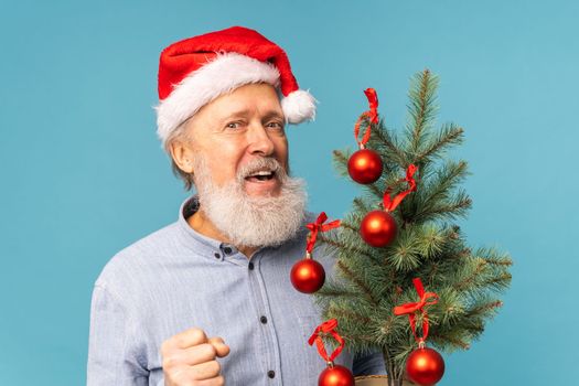Portrait of happy Santa Claus excited looking at camera and holds small christmas tree on blue background