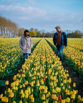 Couple walking in a tulip field colorful tulip fields in the Netherlands Flevoland during Spring