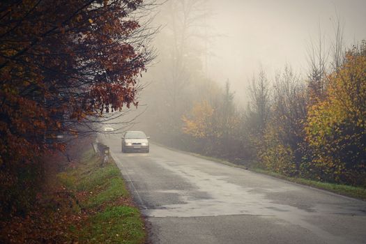 Road in autumn. Foggy and dangerous car driving in the winter season. Bad weather with rain and traffic on the road. Concept for traffic and road safety.