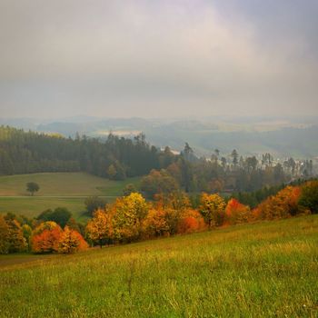Beautiful autumn landscape with colorful trees. Nature background with fog and rural landscape.