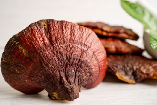 Dried lingzhi mushroom with capsule drug, alternative medicine herbal organic herb.