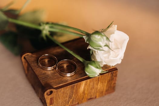 Designer wedding rings lying on the surface with a rose. Two wedding rings