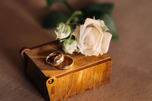 Designer wedding rings lying on the surface with a rose. Two wedding rings