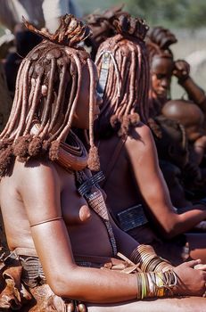 May 15, 2005. unidentified Himba women  with the traditional hairstyle, necklace and the typical ochre tinted skin. Epupa Falls, Kaokoland or Kunene Province, Namibia, Africa