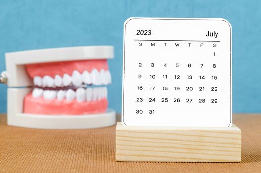 The July 2023 Monthly calendar for 2023 year with Model tooth on wooden table.