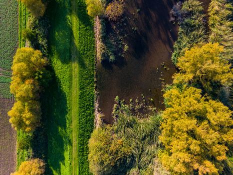 Bodies of water on autumn colored trees with a path next to fields from a drone perspective