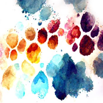 Multicolored splash watercolor blots - template for your designs. 