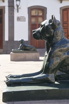 Canarian dogs statues on Plaza Santa Ana in Las Palmas, Gran Canaria