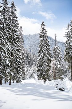 Beautiful winter landscape with trees unde heavy snow