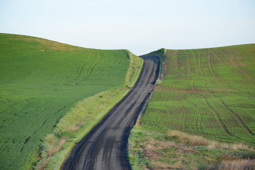farm hill in washington with local road