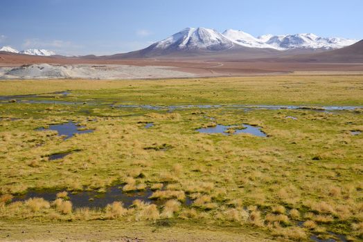 wetland in chile