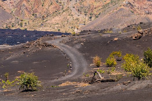 Dust road through lava rocks and plants through the crater of Pico do Fogo, Cape Verde